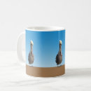 Search for sand mugs Birds