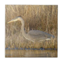 Search for heron tiles Ardea herodias