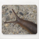 Search for slug mouse mats Slimy