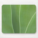Search for agave mouse mats Flora