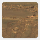 Search for soil stickers Rover