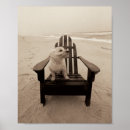 Search for photgraphy posters Pets
