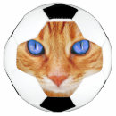 Search for eye footballs Cat