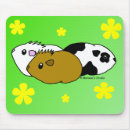 Search for guinea pig mouse mats Animals