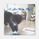 Search for fluffy white square magnets Kitty