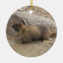 Search for groundhog christmas tree decorations Mammal