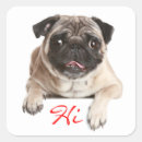 Search for pug puppy stickers Pugs