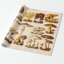 Search for 1800s paper wrapping paper Vintage
