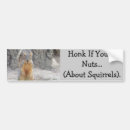 Search for squirrel bumper stickers Funny