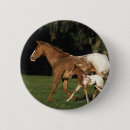 Search for appaloosas badges Bob langrish
