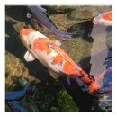 Search for koi fish art White