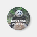 Search for panda magnets Save