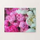 Search for paeony Pink