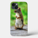 Search for squirrel photo iphone cases Animals