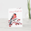 Search for bullfinch christmas cards Snow