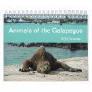 Search for galapagos calendars Birds