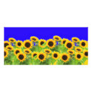 Search for own rack cards Yellow