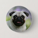 Search for alertness badges Looking at camera