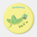 Search for grasshopper magnets Insect