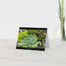 Search for succulent thank you cards Garden