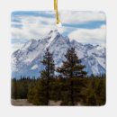 Search for wyoming christmas tree decorations Tetons
