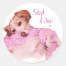 Search for charities labels Adopt