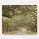 Search for joanne mouse mats North america