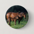 Search for thoroughbred badges Mare foal