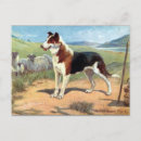 Search for smooth postcards Animal