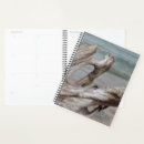 Search for driftwood gifts Coast