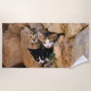Search for cats beach towels Funny