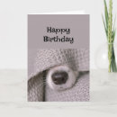 Search for blankets cards Animal