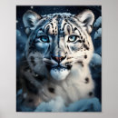 Search for snow leopard posters Large cat