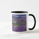 Search for cappadocia mugs Nature