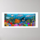 Search for dolphin vector Fish