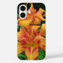 Search for daylily iphone cases Daylilies