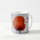 Search for corona mugs Sun