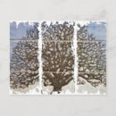 Search for dirty postcards Merchbooth