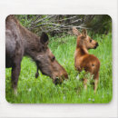 Search for moose mouse mats Animal