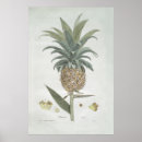 Search for ananas art Vintage
