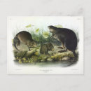 Search for fibre postcards Illustration