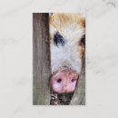 Search for funny photography business cards Animals