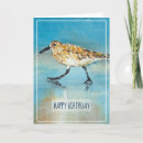 Search for bird watcher birthday cards Birds