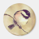 Search for chickadees magnets Wildlife