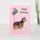 Search for rough collie cards Animal