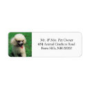 Search for poodle return address labels Dogs