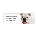 Search for bulldog return address labels Animal