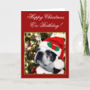 Search for boston terrier christmas cards Terriers