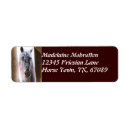 Search for stables return address labels Barn