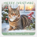 Search for cat picture stickers Merry christmas